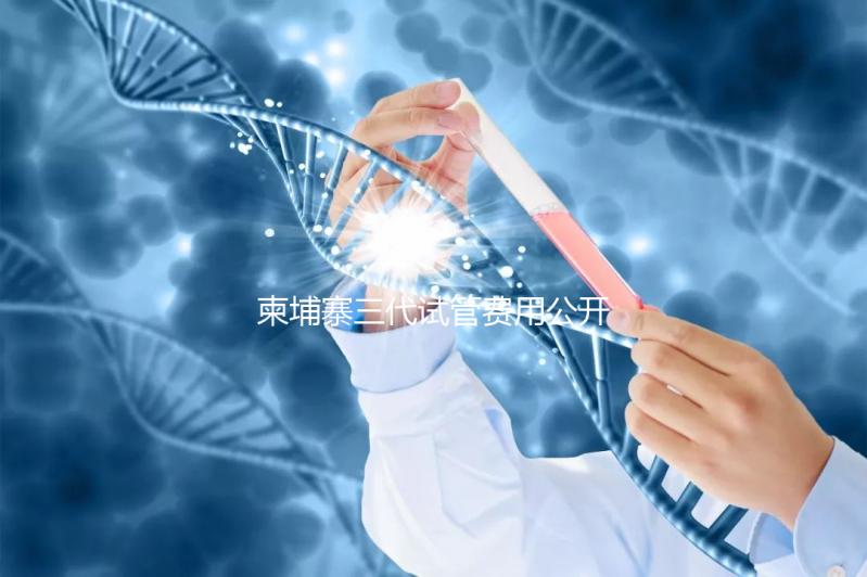 柬埔寨三代試管費用公開，不同項目價格不同