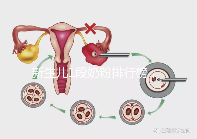 新生兒1段奶粉排行榜，口碑好、價格實惠的品牌紛紛上榜