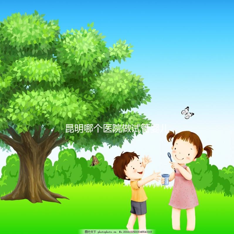 昆明哪個(gè)醫(yī)院做試管嬰兒成功率高些