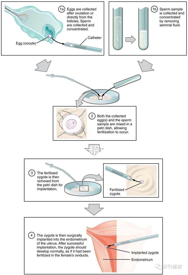 武漢四維彩超費(fèi)用表整理，內(nèi)附市婦保院超全預(yù)約攻略