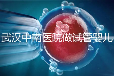 武漢中南醫院做試管嬰兒需要多少錢：2025年這些試管收費有變動