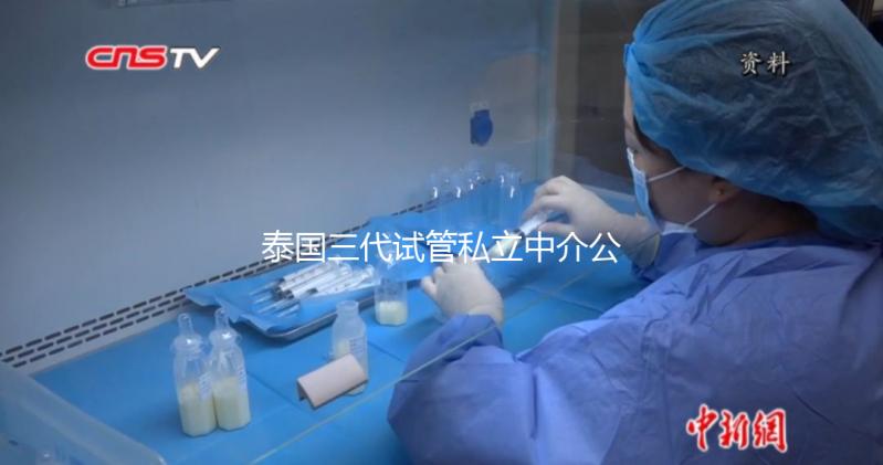 泰國三代試管私立中介公司推薦，排名一目了然，輕松選擇！