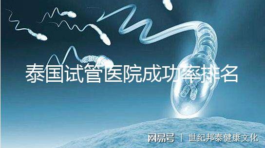 泰國試管醫院成功率排名公布，這些詳細介紹，為您提供選擇參考！