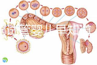 泰國(guó)試管嬰兒早知道，威它尼醫(yī)院Vejthani圖文攻略