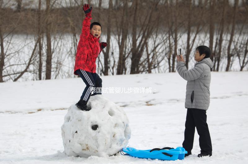 泰國試管嬰兒步驟詳解：2025年最新流程