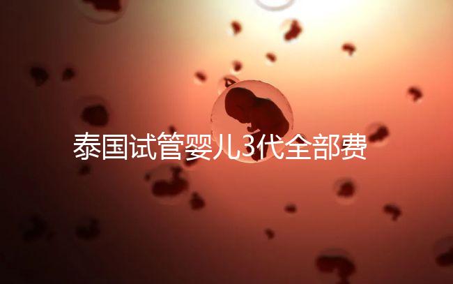 泰國(guó)試管嬰兒3代全部費(fèi)用大概是多少？