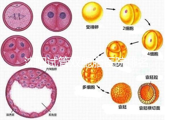 沈陽(yáng)試管雙胞胎醫(yī)院排名速覽,60s告訴你皇姑區(qū)有哪些