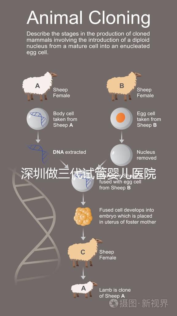 深圳做三代試管嬰兒醫院前10一覽，排名不分先后