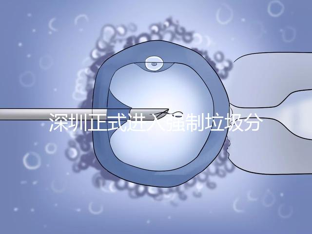 深圳正式進(jìn)入強(qiáng)制垃圾分類(lèi)時(shí)代,不分類(lèi)最高被罰50萬(wàn)!