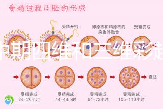 孕中期四維和三維彩超檢查區別真不小，看完便知誰更好