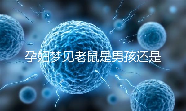 孕婦夢見老鼠是男孩還是女孩不再糾結(jié)，詳細預(yù)兆解讀看這