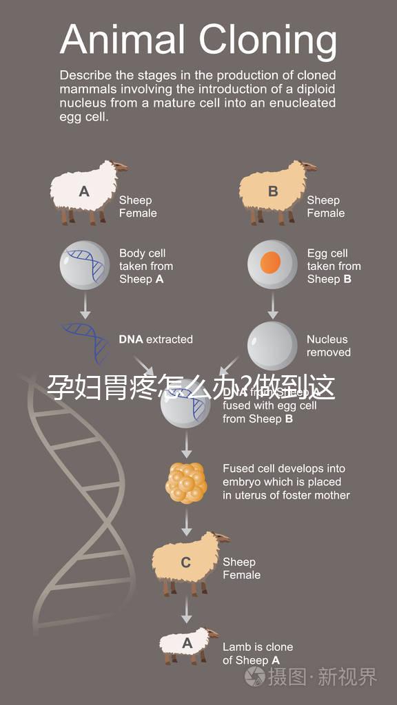 孕婦胃疼怎么辦?做到這5點可以減輕危害