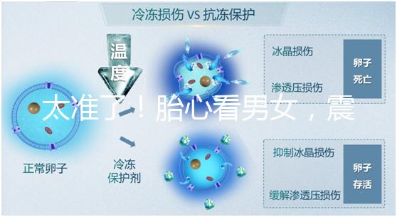 太準了！胎心看男女，震驚結果大于150就一定是女孩