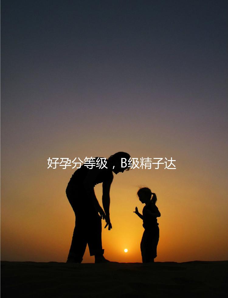 好孕分等級(jí),B級(jí)精子達(dá)這個(gè)正常標(biāo)準(zhǔn)“孕路”無(wú)阻