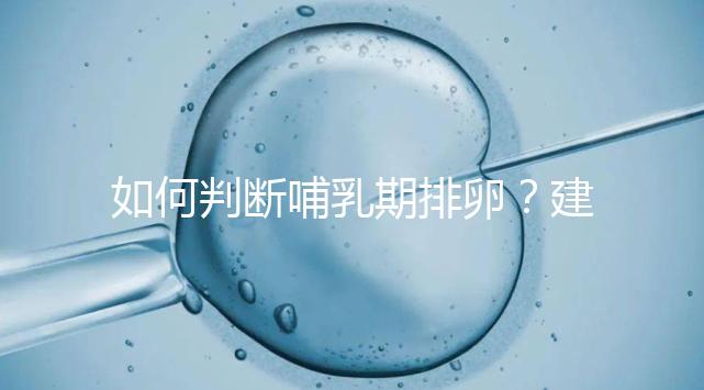 如何判斷哺乳期排卵？建議試試這四招，快速掌握排卵期
