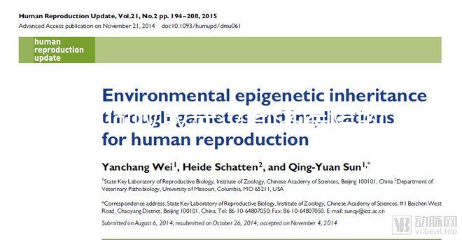 如何收取武漢同濟醫院的養囊費?查看最新試管費用明細估算?
