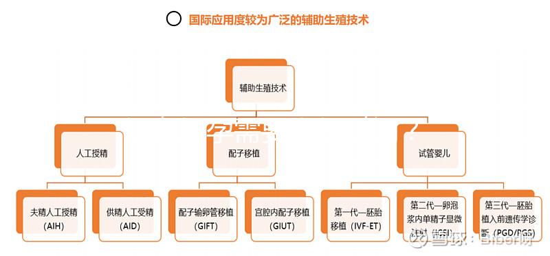 婦女懷孕需要多長時間？