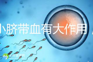 小小臍帶血有大作用,不僅能治療白血病還能拯救腦癱兒