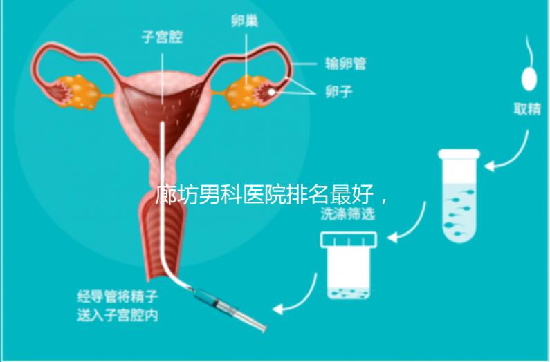 廊坊男科醫(yī)院排名最好，醫(yī)院出爐！廣陽這些機(jī)構(gòu)可以排隊