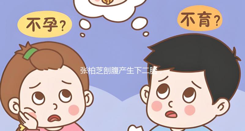 張柏芝剖腹產(chǎn)生下二胎，跟謝霆鋒一個模子刻出來的