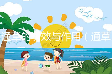 通草的功效與作用（通草的功效與作用主要治什么病）