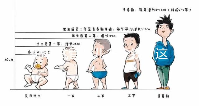 邯鄲試管嬰兒多少錢(qián)?這些醫(yī)院都能做成功率還不低!