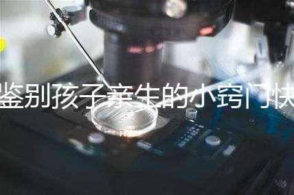 鑒別孩子親生的小竅門快收藏，取牙刷樣本準不準分情況