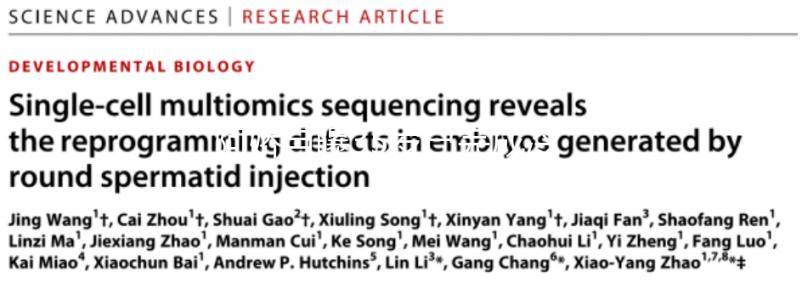 阿嬌自曝35歲已完成冷凍卵子，為何明星都選擇凍卵？