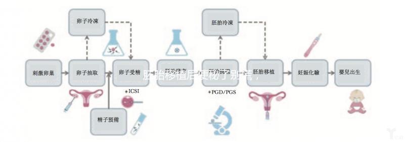 胚胎移植后便秘了別慌,這5種方法你應該試試