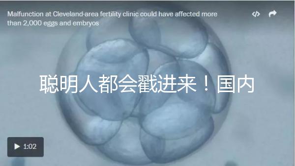 聰明人都會戳進來！國內試管嬰兒和泰國試管嬰兒優缺對比