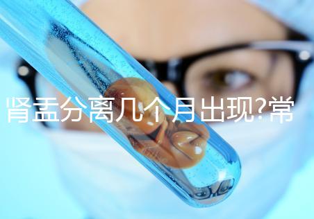 腎盂分離幾個(gè)月出現(xiàn)?常見的熱門疑問匯總解答