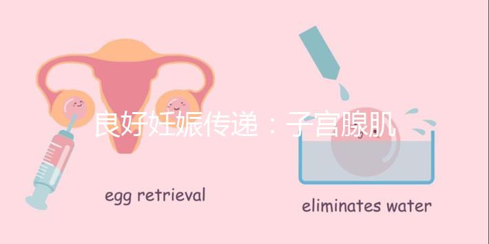 良好妊娠傳遞：子宮腺肌病，移植成功！