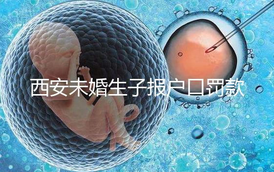 西安未婚生子報(bào)戶口罰款多少看這,內(nèi)含再婚遷戶口流程