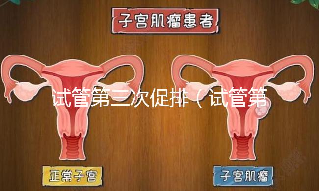 試管第三次促排(試管第三次促排多少錢)