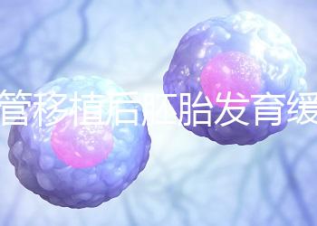 試管移植后胚胎發育緩慢，甚至胎停咋回事？3大高危因素要規避