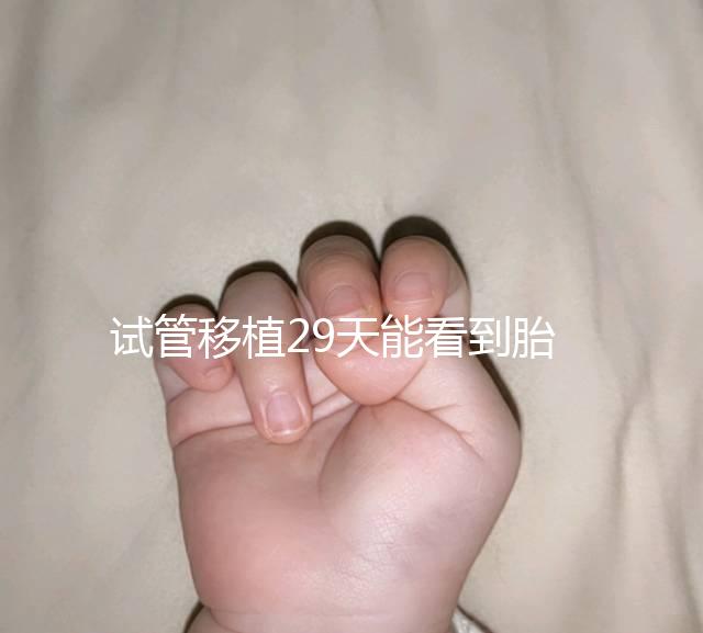 試管移植29天能看到胎心嗎？B超還能看孕囊大小和胎心