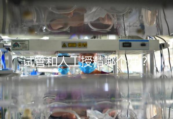 試管和人工授精哪個(gè)好?適配人群各不同