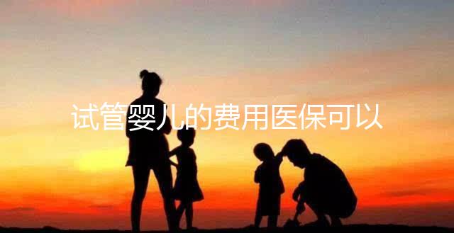 試管嬰兒的費用醫?？梢詧箐N嗎（試管嬰兒的費用醫?？梢詧箐N嗎多少錢）