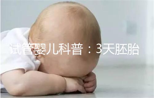 試管嬰兒科普：3天胚胎和5天囊胚，哪個(gè)移植成功率更高