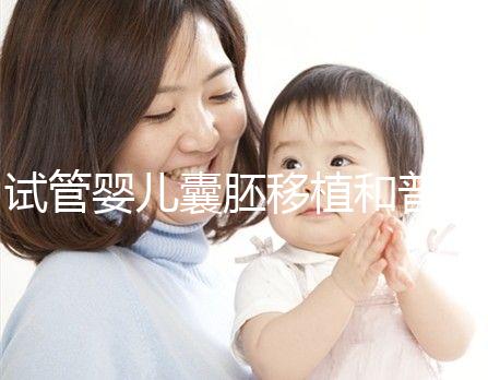 試管嬰兒囊胚移植和普通分裂期移植的區別