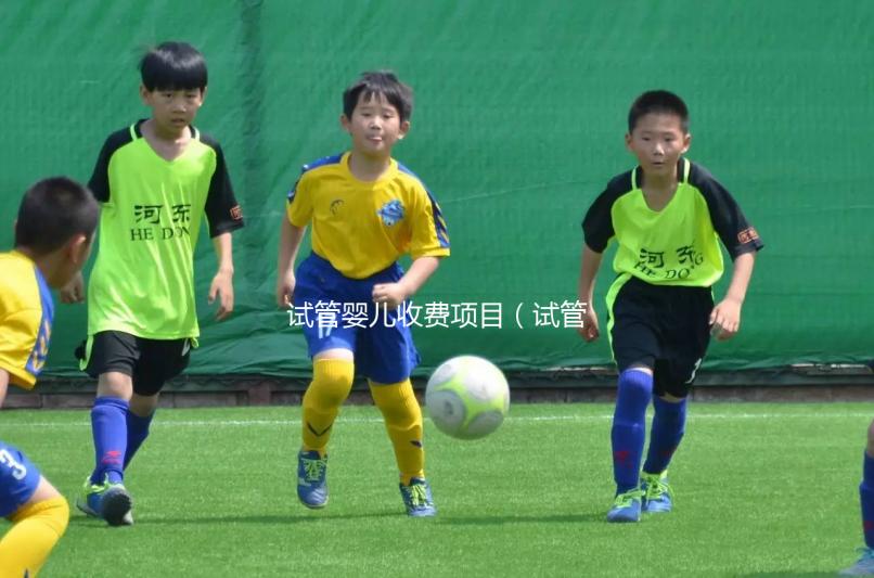 試管嬰兒收費項目(試管嬰兒收費項目有哪些)