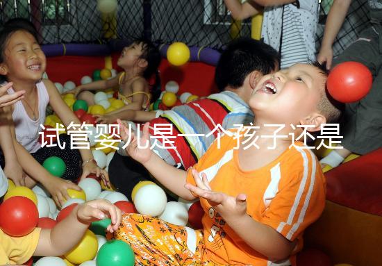 試管嬰兒是一個孩子還是雙胞胎(試管嬰兒是一個孩子還是雙胞胎呢)