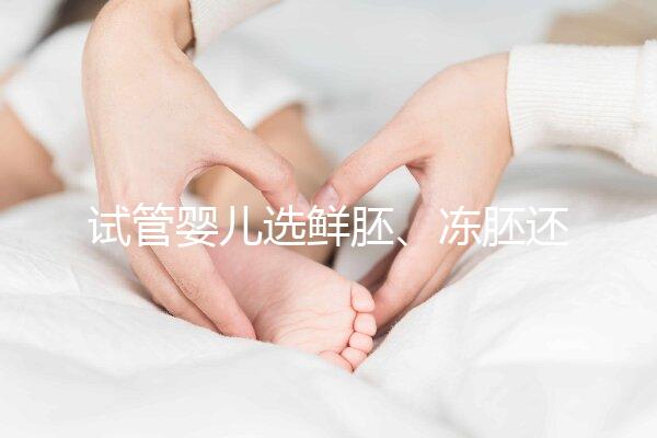 試管嬰兒選鮮胚、凍胚還是囊胚