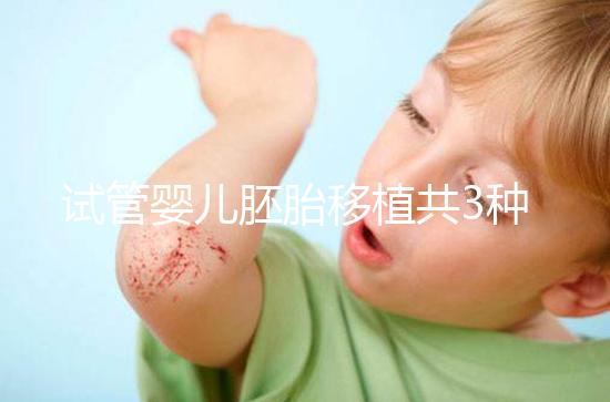 試管嬰兒胚胎移植共3種方案，成功率、技術有啥不一樣？