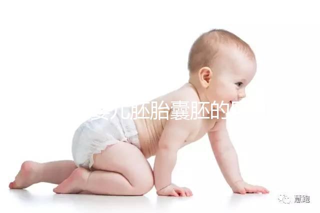 試管嬰兒胚胎囊胚的區(qū)別,成功率哪個(gè)高