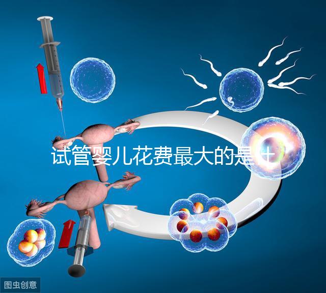試管嬰兒花費最大的是什么?