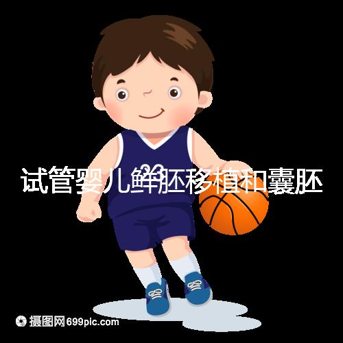 試管嬰兒鮮胚移植和囊胚移植的區(qū)別！哪個成功率高看完便知曉