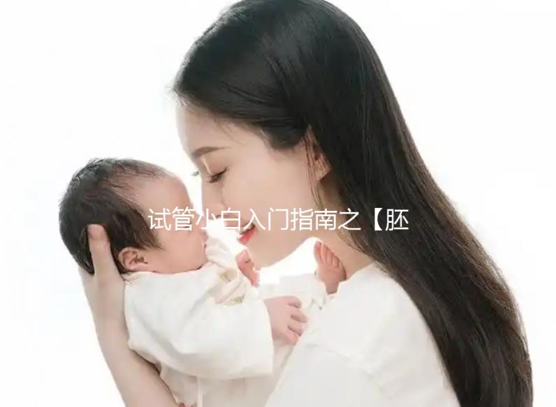 試管小白入門指南之【胚胎移植】