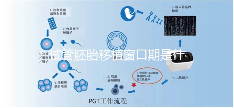 試管胚胎移植窗口期是什么?如何選對(duì)時(shí)機(jī)?