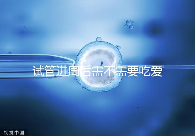 試管進周后需不需要吃愛樂維、要吃多久別瞎猜，真相在這